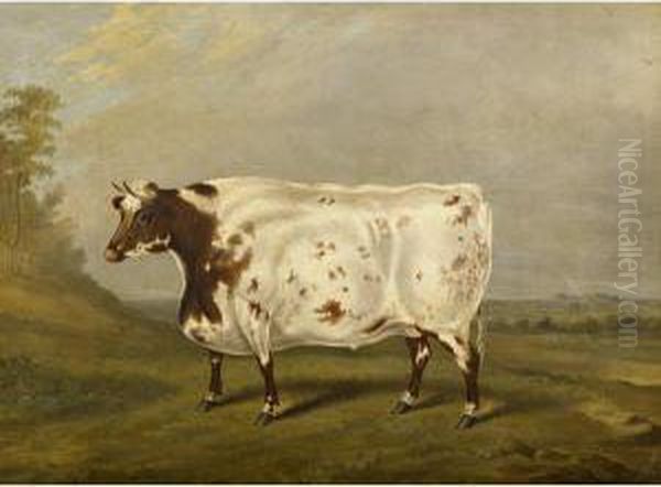 Durham Ox - view 1