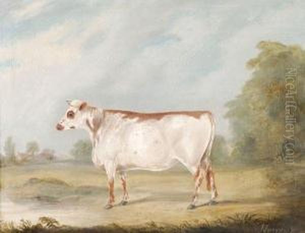 A Cow In A Landscape - view 1