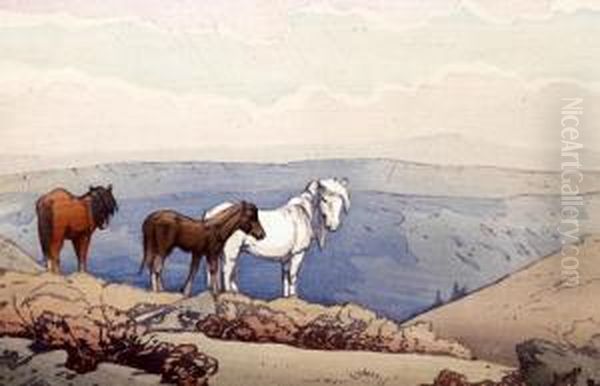 Dartmoor Ponies - view 1
