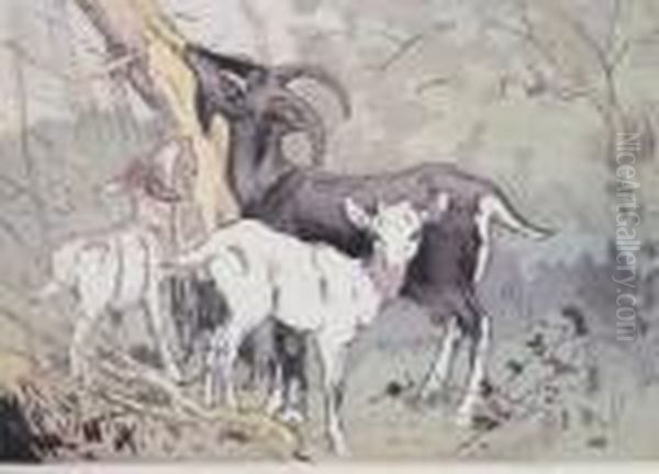 A Goat And Kids By A Tree - view 1