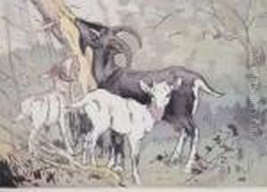 A Goat And Kids By A Tree A Goat And Kids By A Tree