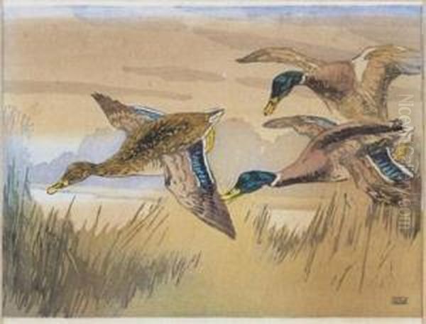 Flying Ducks - view 1