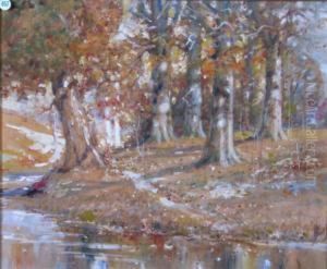 Autumn Interior Woods by John Albert Seaford