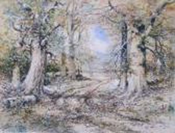 Richmond Autumn Interior Woods - view 1