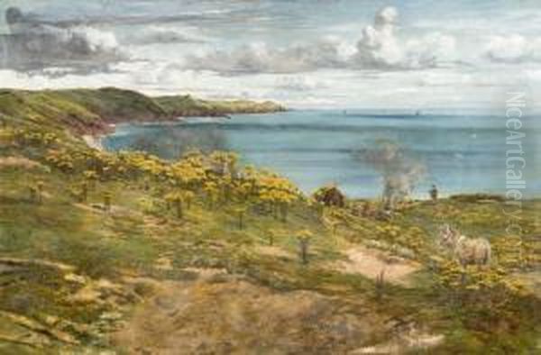 Campement Sur Un Littoral Rocheux - view 1