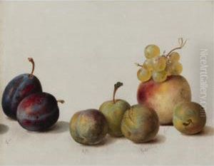 Still Life: Plums, Peach And Grapes by Helen R. Searle