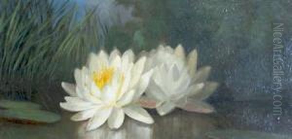 Lily Pond - view 1