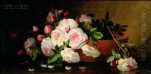 Pink Roses Pink Roses