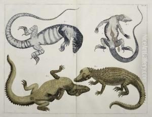 Group Of 14 Hand-colored Plates