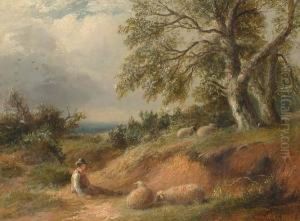 Sheep And A Boy Resting In A Country Landscape. by Thomas Strong,lt.Col Seccombe