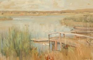 Enten Am See