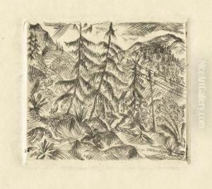 Berge Mit Tannen