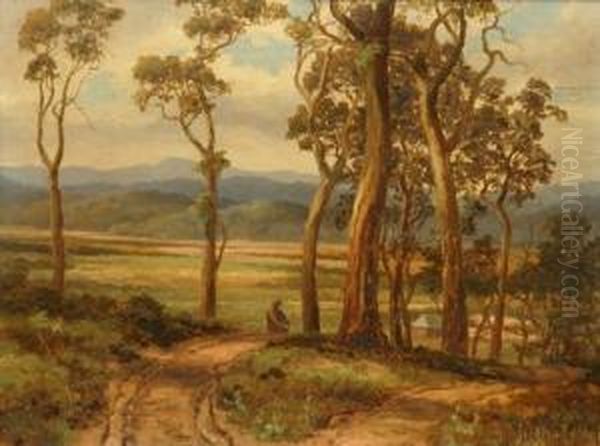 White Gums - view 1