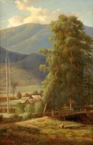 A Ford On The Graceburn Healesville