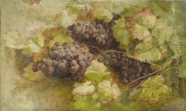 Still Life With Grapes - view 1
