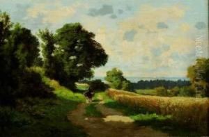 Promeneuse Et Son Ane Promeneuse Et Son Ane