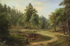 Waldsee Beim Weisen Hirsch Bei Dresden