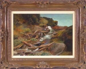 Wildbach Mit Zerstorter Holzbrucke
