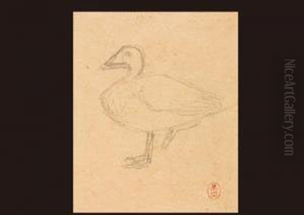Duck - view 1