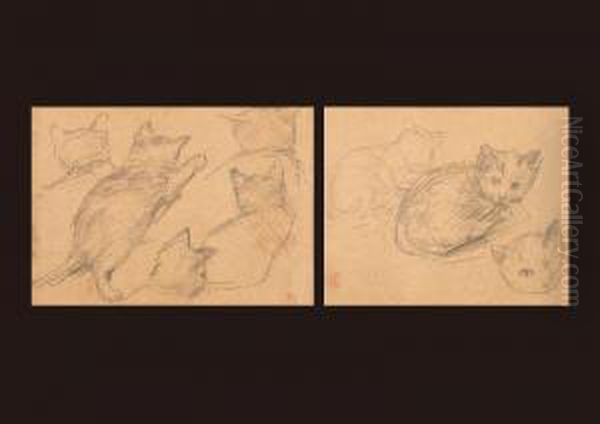 Cats(two In The Same Frrame) - view 1