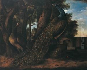 Peacocks In A Park by Johann Seitz