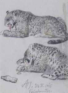 Zwei Liegende Leoparden Zwei Liegende Leoparden