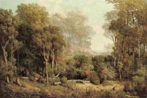 Australischer Wald by Josef Selleny