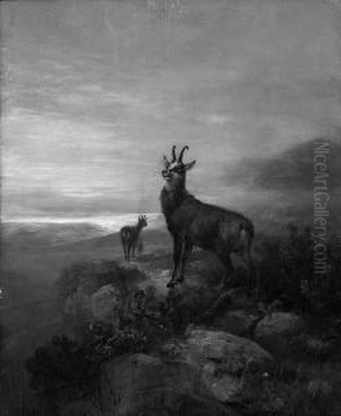 L. "gamsen Im Hochgebirge". Sign. Ol Auf Lwd. Auf Holz . Besch. 60,5 X 50 Cm. Rahmen - view 1