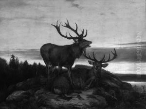 L. "zwei Hirsche". Sign. Ol Auf Lwd. 53 X 70 Cm. Rahmen by Ludwig Sellmayr