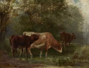 Kuhe In Flachem Ufergewasser by Ludwig Sellmayr