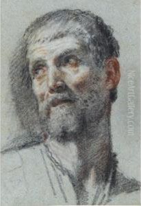 Head Of A Man, Turned To The Left by Fra Semplice Da Verona