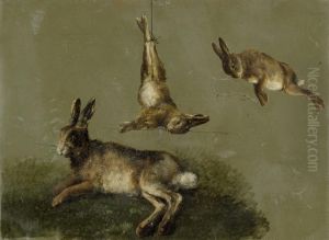 Liegender Hase Auf Wiesenstuck