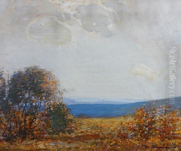 Autumn Sunlight - view 1