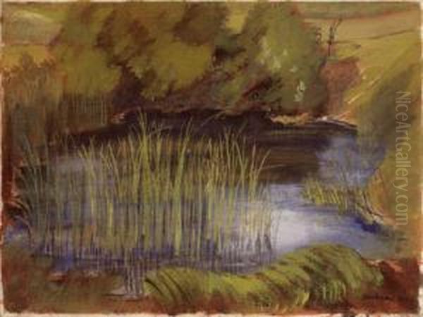 Feldweiher - view 1