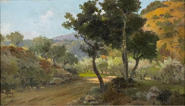 Landscape - view 1
