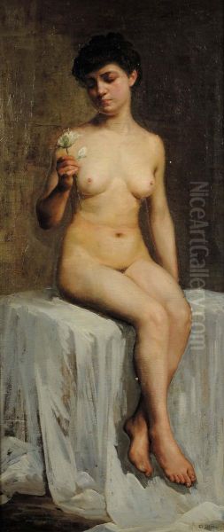 La Modella - view 1