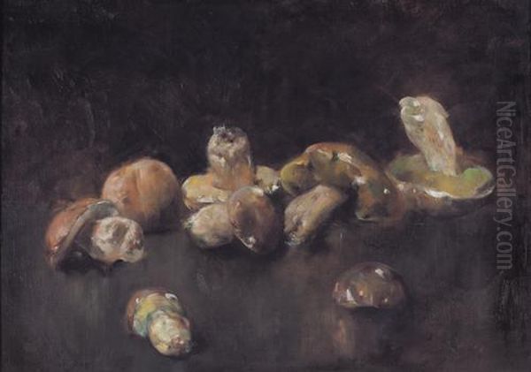 Natura Morta Di Funghi - view 1