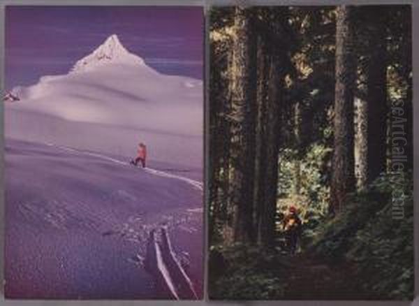 Kulshan Cabin Trail On Mt. Baker Washington - view 1