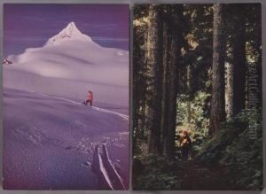 Kulshan Cabin Trail On Mt. Baker Washington