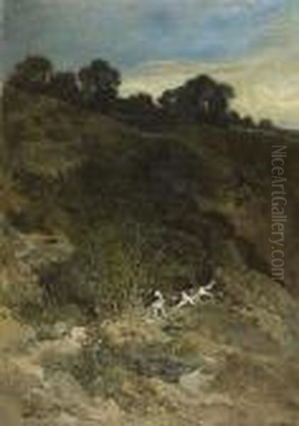 La Chasse Dans Les Collines - view 1