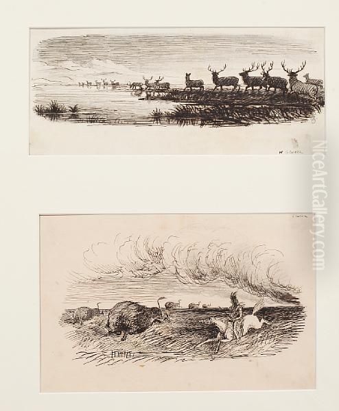 Red Indians Hunting Buffalo - view 1