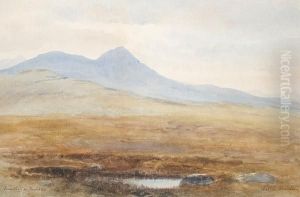 Scour Voullin, Rossshire by Walter Severn