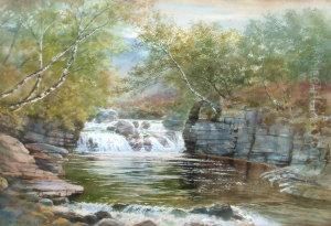 Waterfall In Woodland by Walter Severn