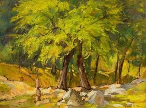 Bosco A Caglio, Como by Pompilio Seveso