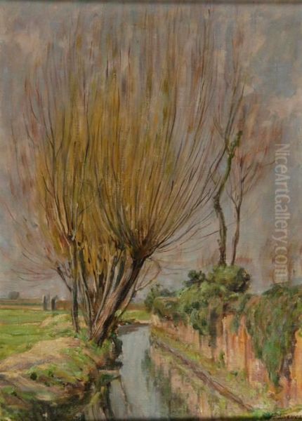 "canale Con Albero" Olio Su Panforte Firmato In Basso A Destra - view 1