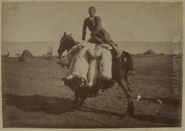 Iran, Teheran - view 1