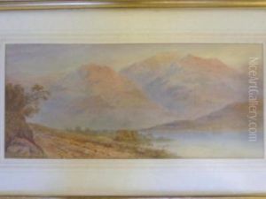 Lakeland Landscape Lakeland Landscape