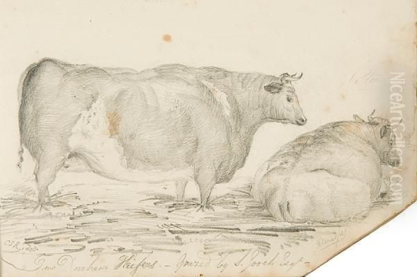 An Early Victorian Sketchbook - view 1