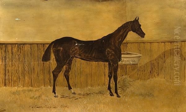 'geheimniss' In A Stable - view 1