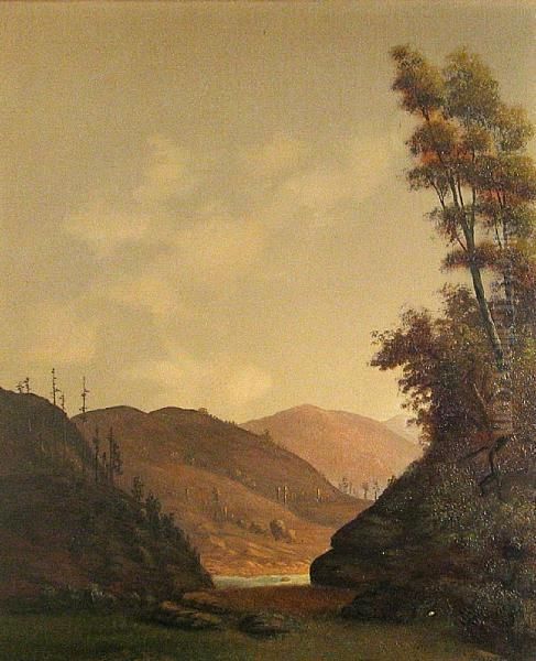Landscape Of Logged And Mined Hills - view 1